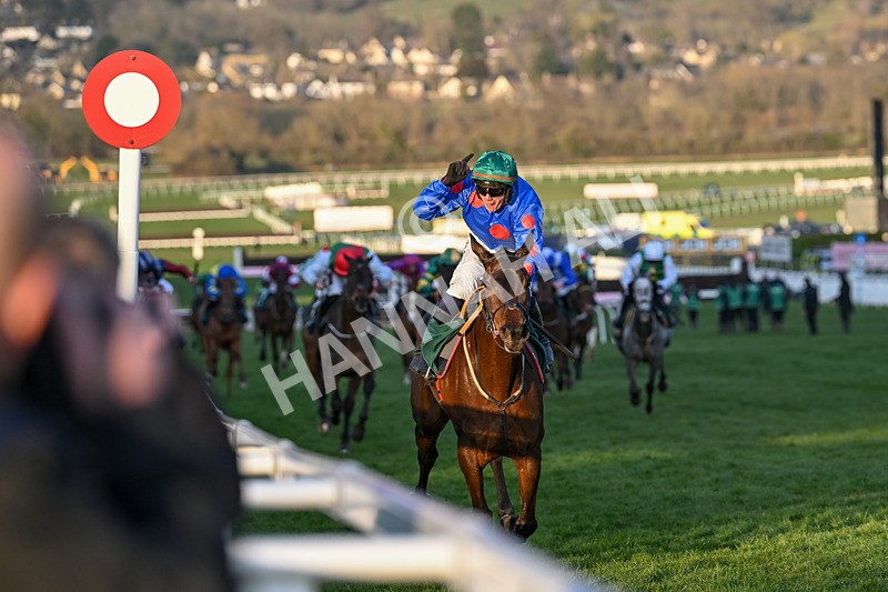 140325-Race 7-Wodhooh-6114 - 14th March