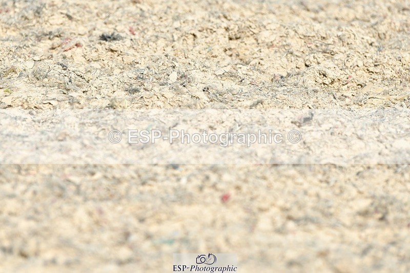 230623-165954-02950 - Cls 9 Advanced Medium 91Q