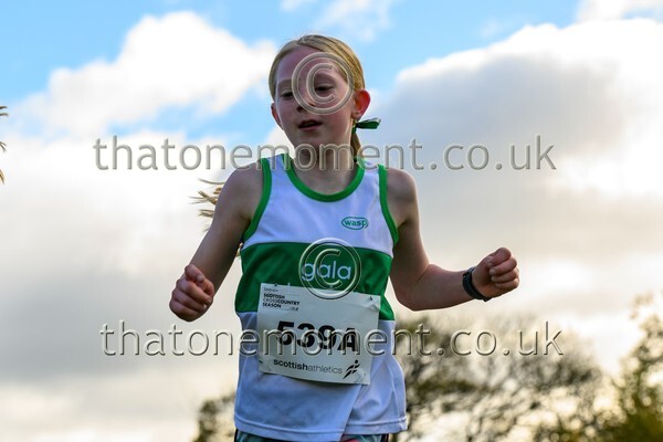 NatRel25-913163 - Young Female Set One