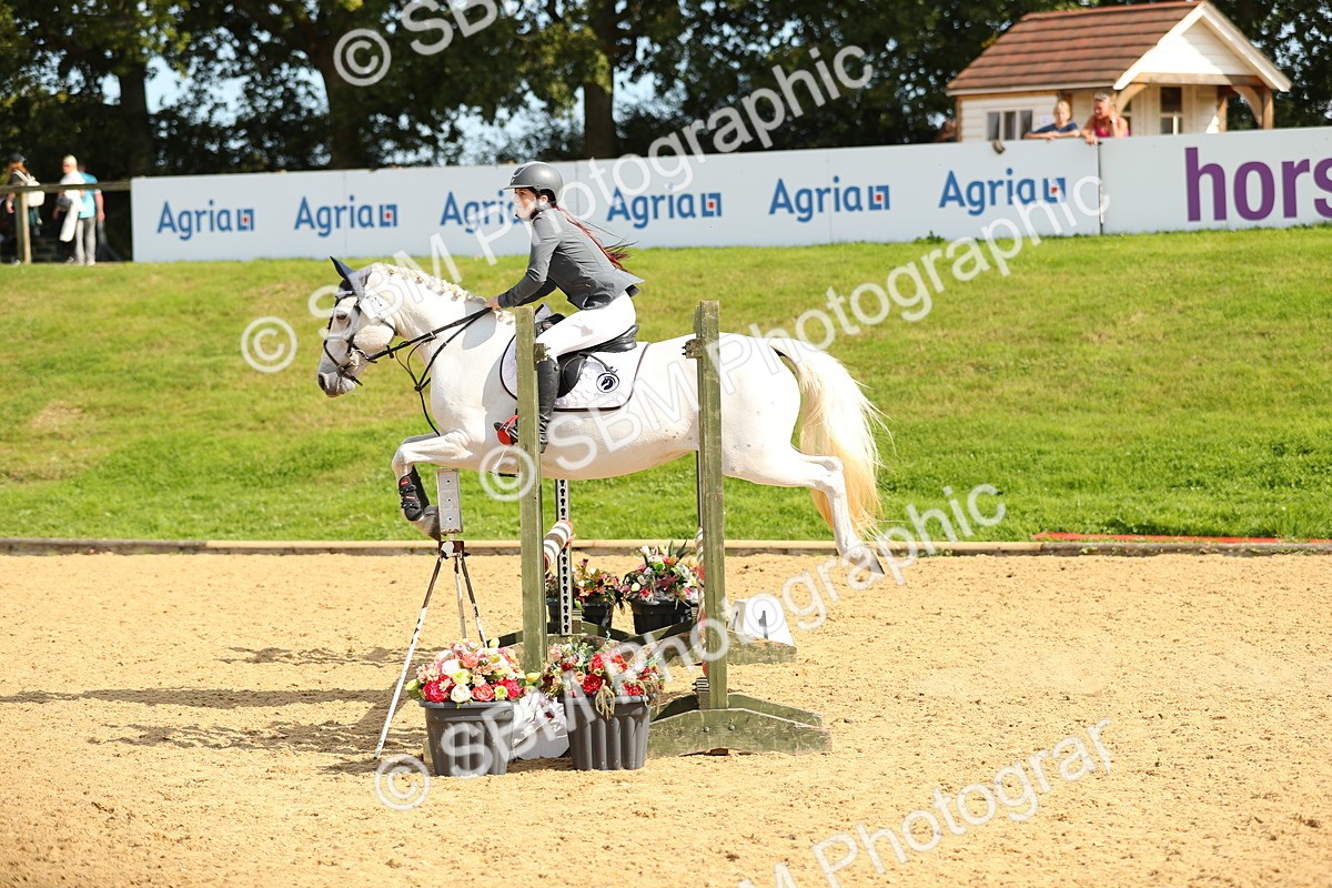 SBM_67317 - J17 - Junior Pony 80cm Championship