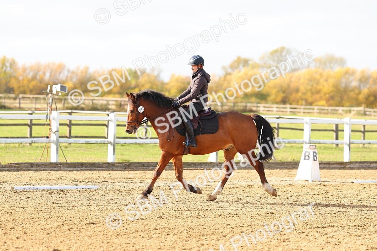 SBM_001206 - Class 13-4-9 - DR P3 CT P3 70cm CT PYO
