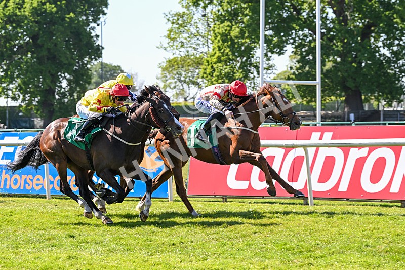 170525-Race 5-Mirsky-8509 - Race 5