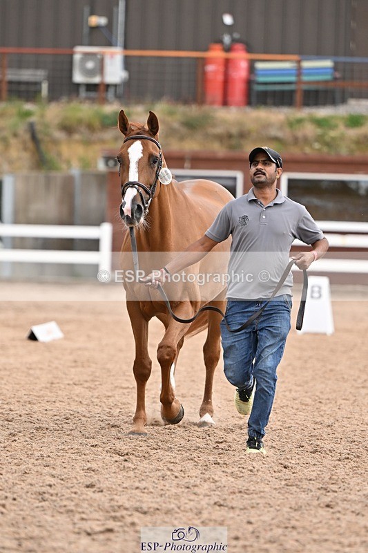 250716-145643-01536 - Trot Up 2.30 to 3.30