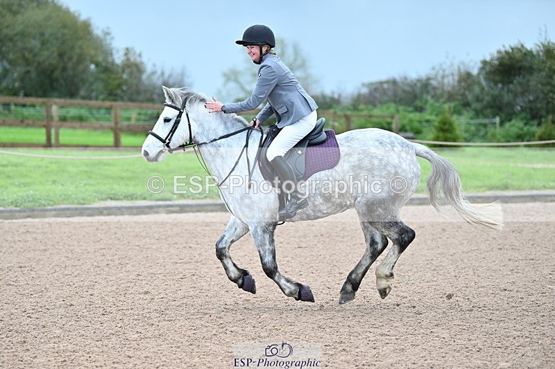 231029A-090140-02254 - 50cm Clear Round