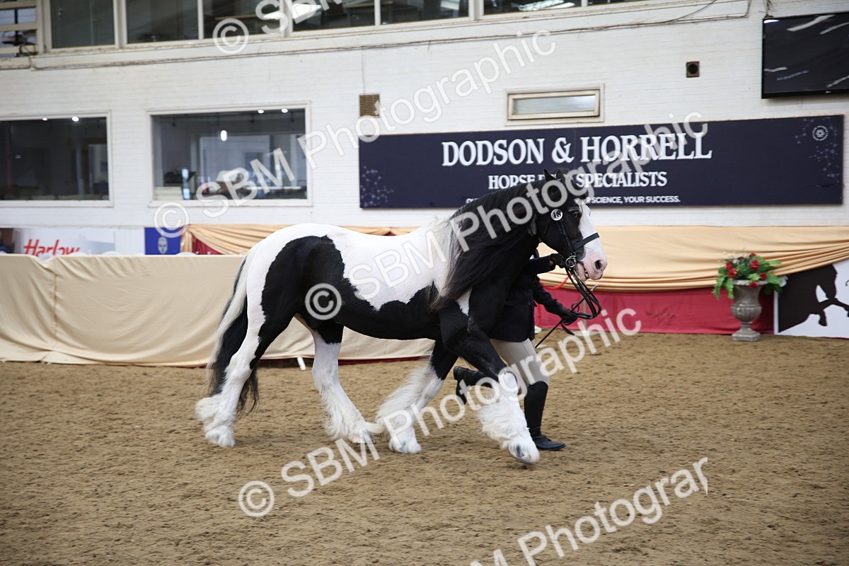 SBM_24731 - Class 906 - Supreme Final - Ridden Pre Vet