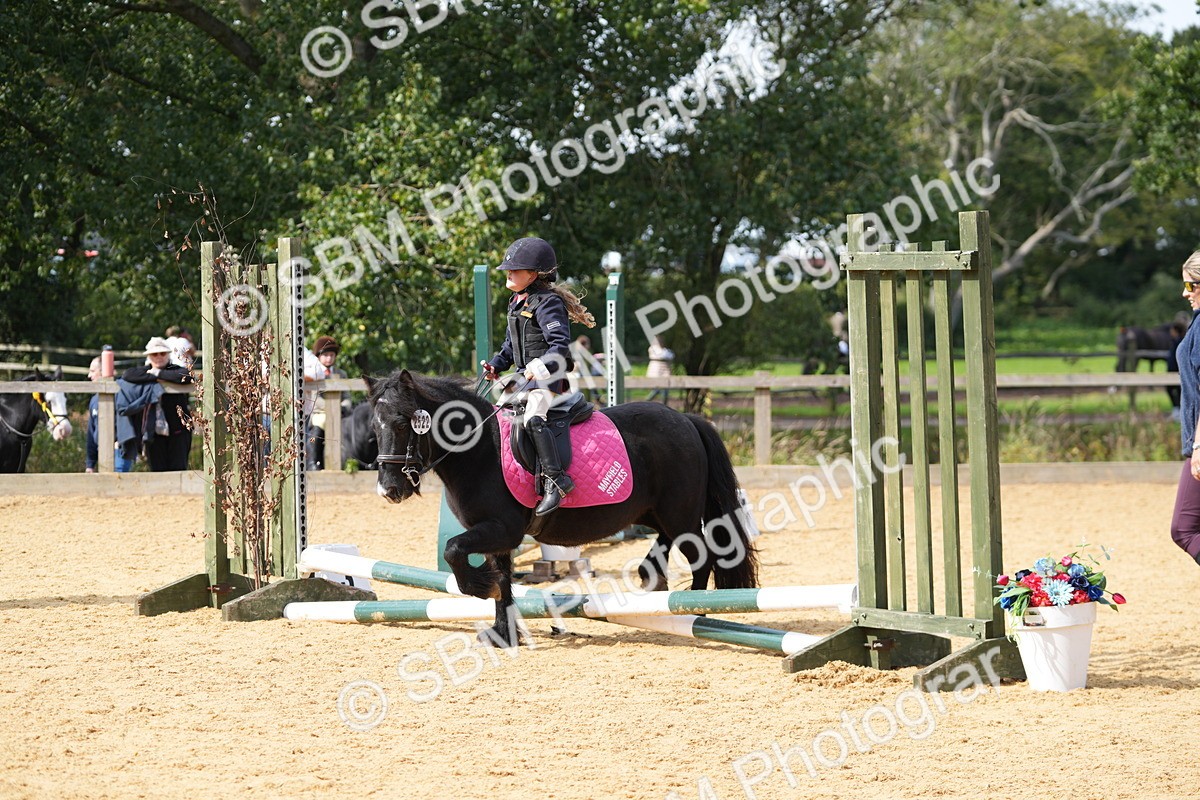 SBM_65771 - J2 - Mini Tour Junior Pony 30cm Championship