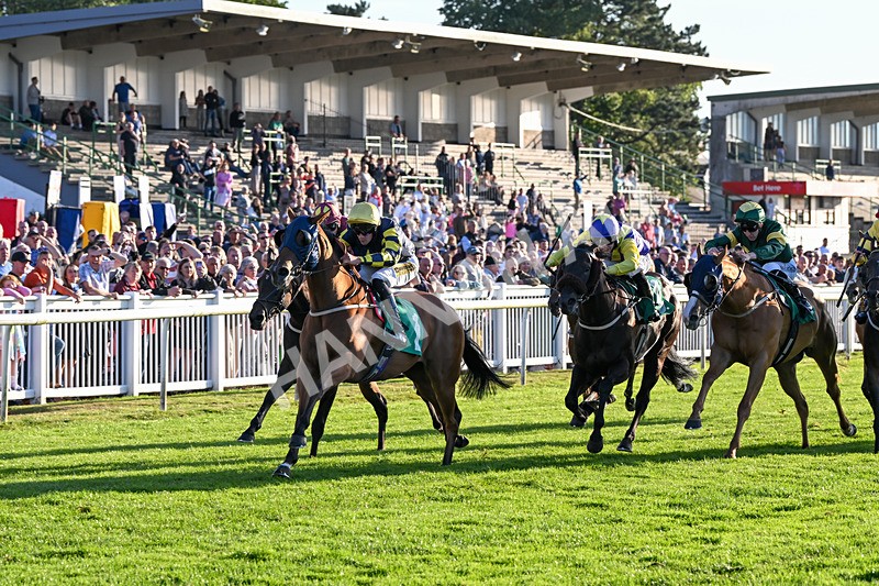 160824-Race 5-Ready Freddie Go-9573 - Race 5