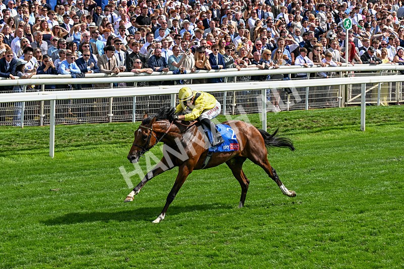 220826-Race 2-Infraad-0306 - Race 2 14.25pm Sky Bet Melrose Handicap