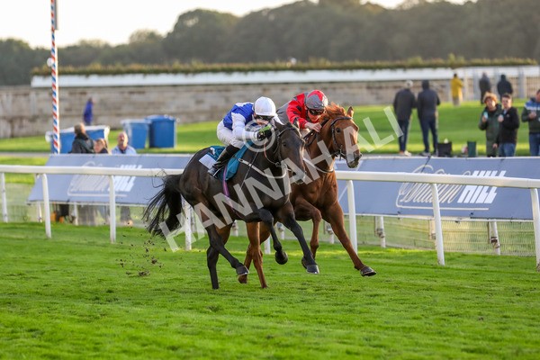 131023-Race 7-Thunder Roar-9967 - Race 7 5.35pm Visit Irish Bloodstock Sales With ITM Apprentice Handicap