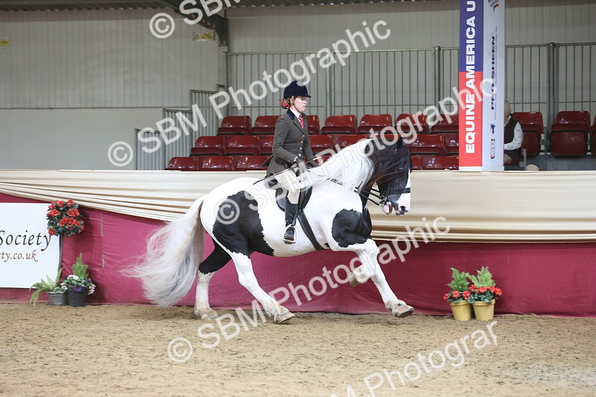 SBM_23734 - class 906 - Supreme Final - Ridden Pre Vet
