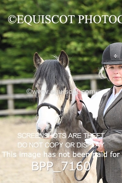 BPP_7160 - RING 1  (RIDDEN HORSES / IN HAND / VETERAN ETC)