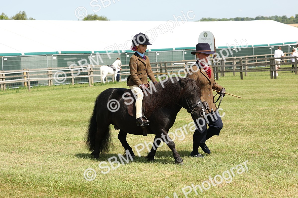 SBM_05249 - Class 24-25 - Mountain & Moorland In Hand Lead Rein and First Ridden