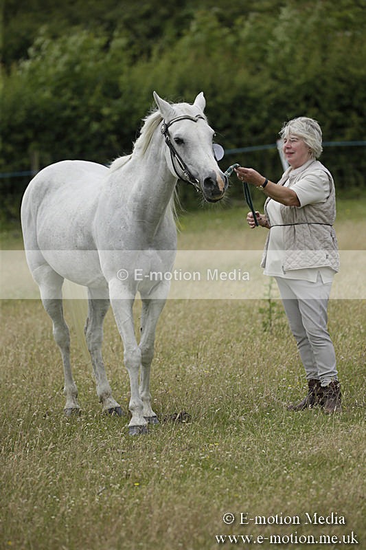 B230619-0588 - Bourne Valley Riding Club Summer Show 23/06/19