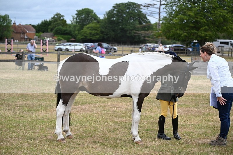 WJ6_4301 - Class 10 Coloured In-hand