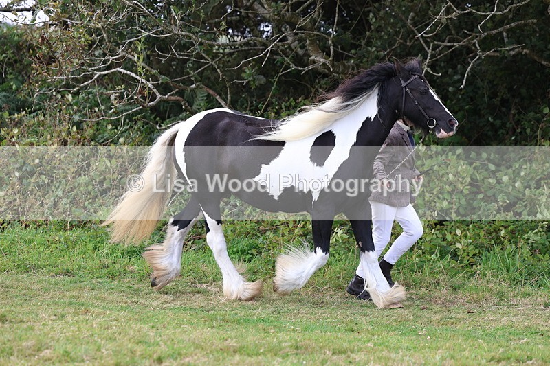 3E7A5349 - Class 19: Best Coloured in Hand