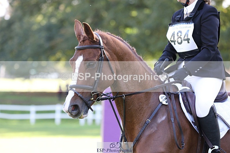 231022-130345-27492 - 484-JESATRAN.FIRECRACKER-Sally.Morton-TrotUp+SJ