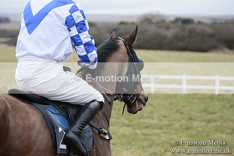 PtP 180218 471 - Combined Services Point-to-Point Larkhill 18/02/18