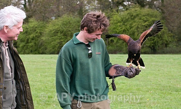 _DSC1112sml - Birds of Prey Workshop