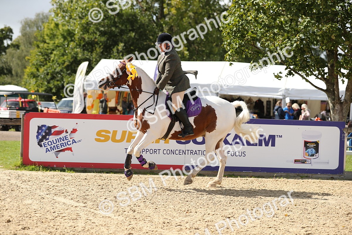 SBM_05864 - J35 - Veteran Rider 60cm