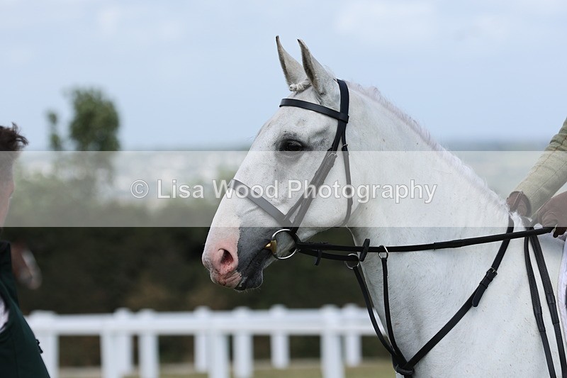 JPP_2422 - Class 19: Working Hunter 60cm