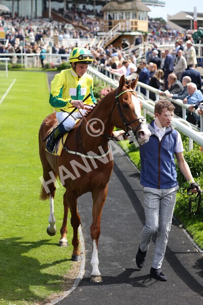 yr11062022r3-9 - Race 3 2.35pm The JCB Stakes