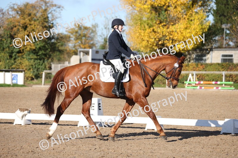 20251102-0536 - Class 3 - Novice 5