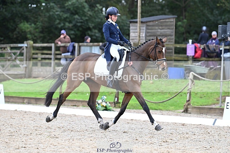 231019-122252-02746 - 044-COOLEY.ON.THE.CARDS-Charlotte.Cooke-DR