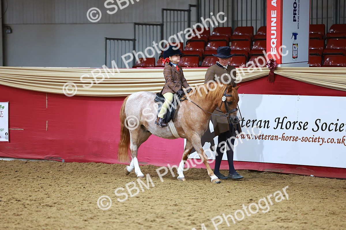 SBM_09351 - Class 102 - HOYS Veteran Qualifier - Ridden Veteran