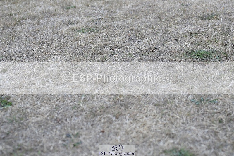 250823A-181419-34066 - All Sat Presentations