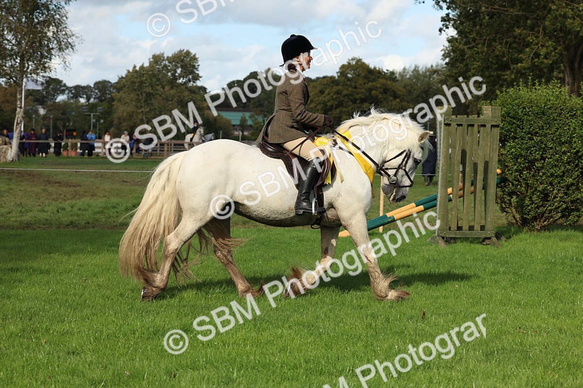 SBM_46360 - Working Hunter Pony Supreme Championship
