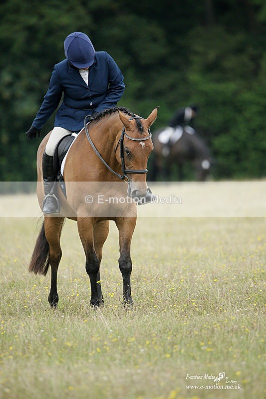 BVRC 030721 106 - Bourne Valley Riding Club Dressage 03/07/21
