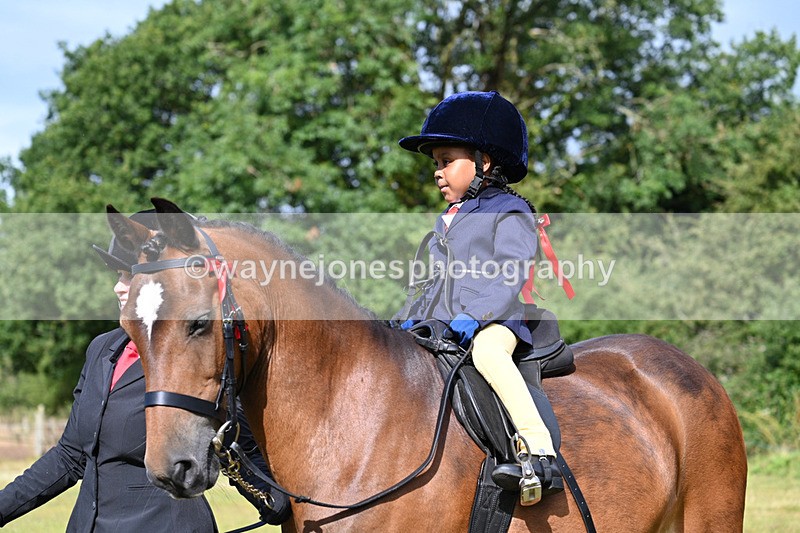 WJ7_4300 - Class 1 Lead Rein Pony