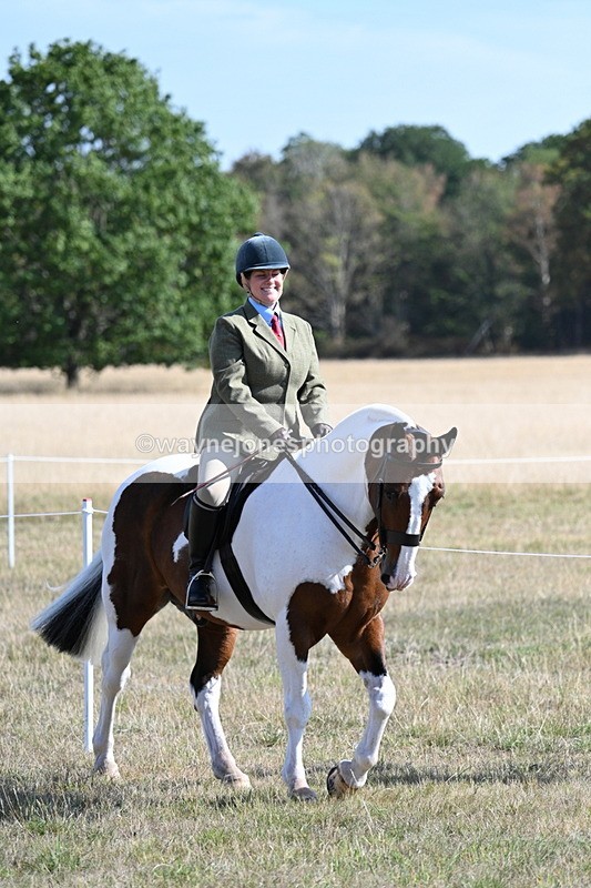 WJ7_3067 - Class 8 Ridden Tack & Turnout