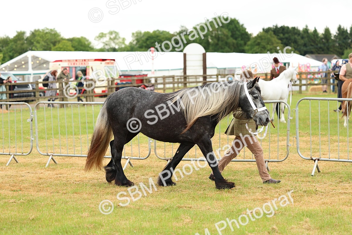 SBM_00375 - Class 58-67 - M&M Non Welsh Pony In hand