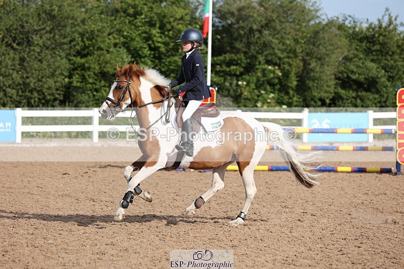 240629A-082758-02561 - Cls 16 British Novice and 80cm Open