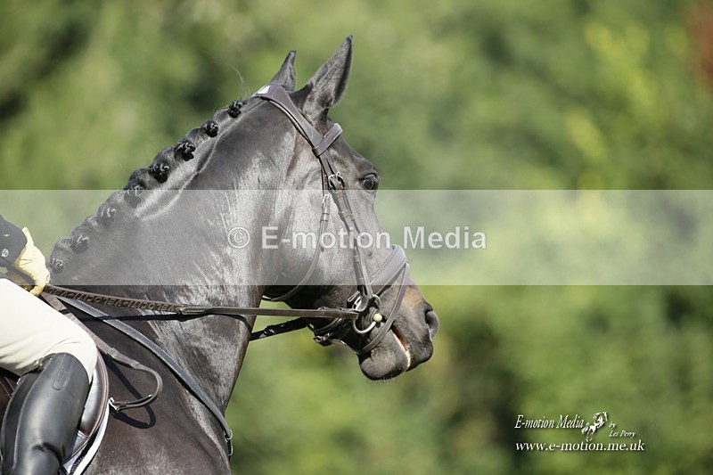 BVRC 120921 256 - Bourne Valley Riding Club UA Dressage & Show Jumping 12/09/21