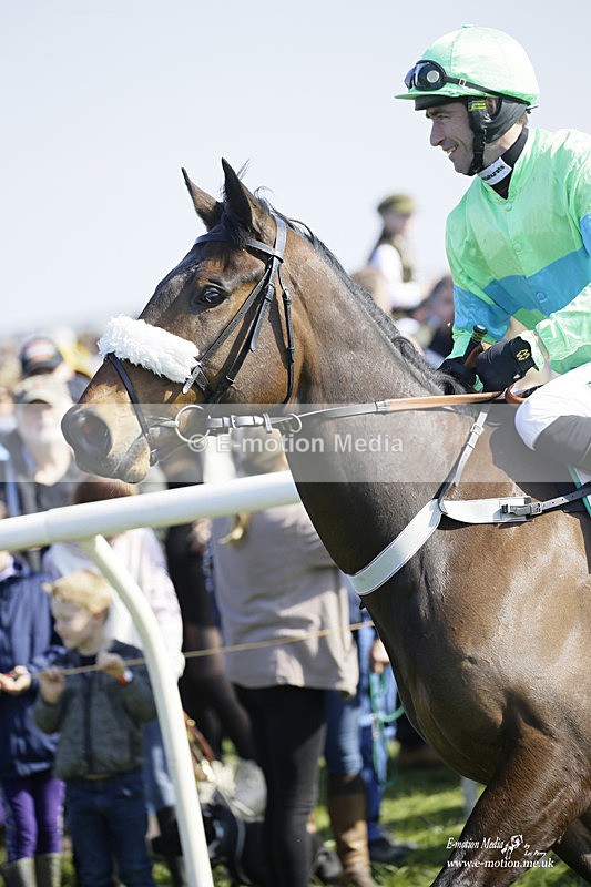 PtP 200322 109 - Mendip Farmers Point-to-Point 20/03/22