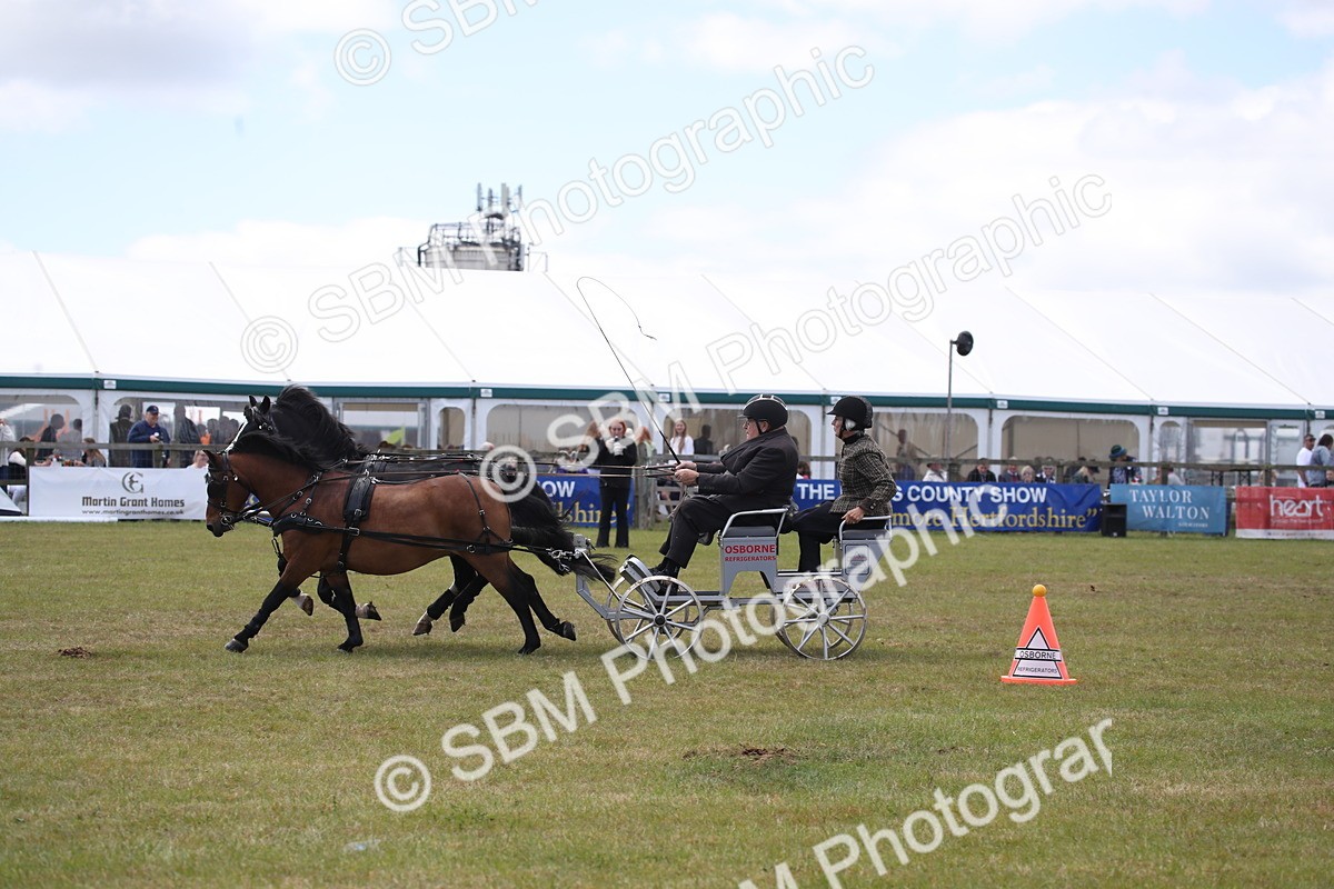 SBM_15394 - Class 90 - Scurry 122cm and Under