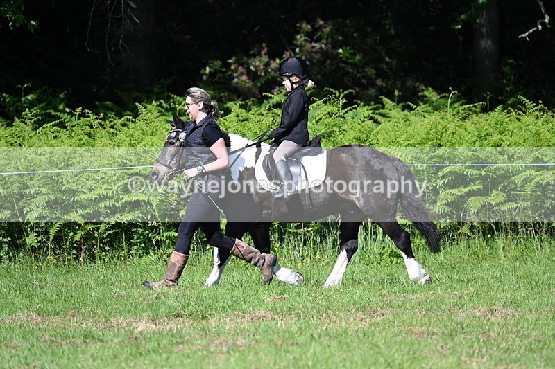 WJ7_0445 - Class 8 First Rally Pony