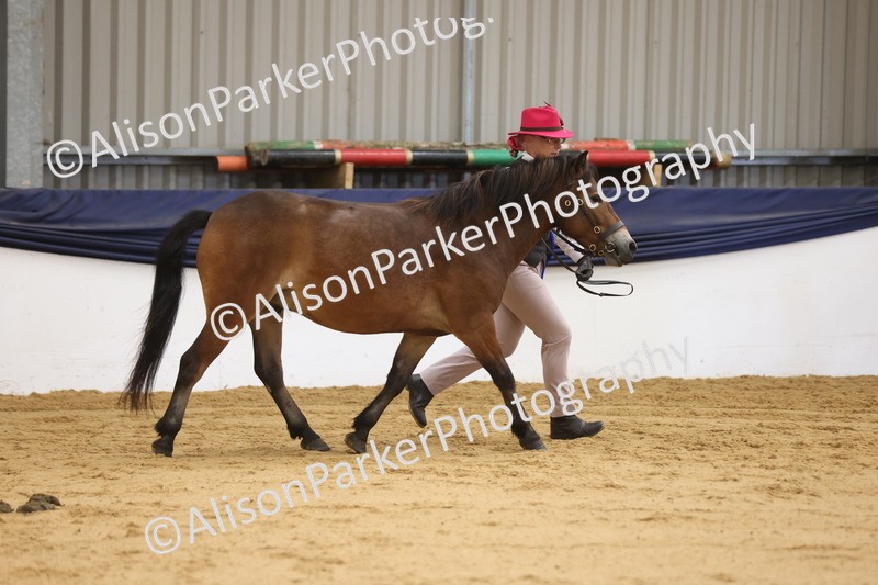 20260913-1314 - Youngstock Championship