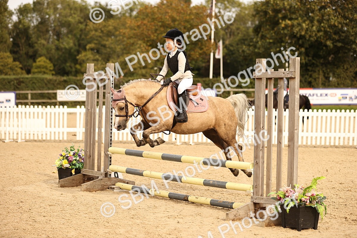 SBM_70830 - J13 - Junior Pony 60cm Championship