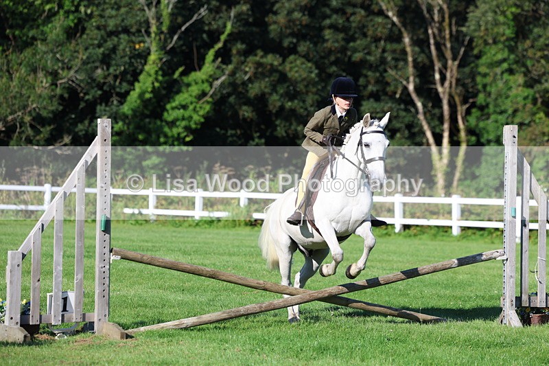 3E7A7498 - Class 1: Novice Working Hunter Pony