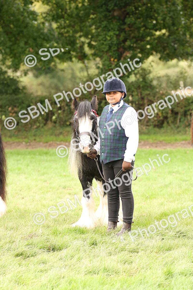 SBM_59313 - S57 - Traditional Cob In Hand