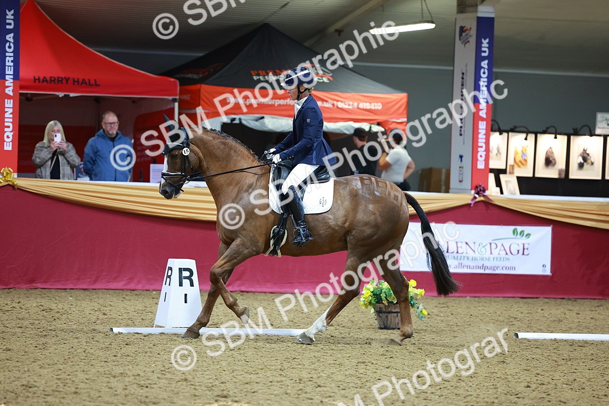 SBM_06687 - Class 61 - Dressage to Music
