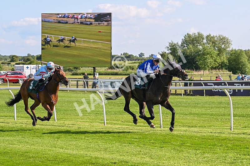 100625-Race 1-Desert Jungle-6375 - Race 1