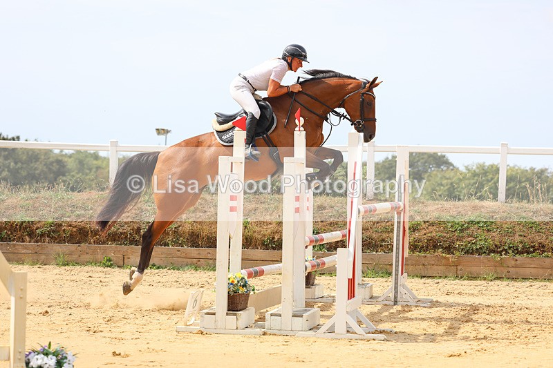 3E7A4272 - Class 8: Senior Foxhunter/1.20 open