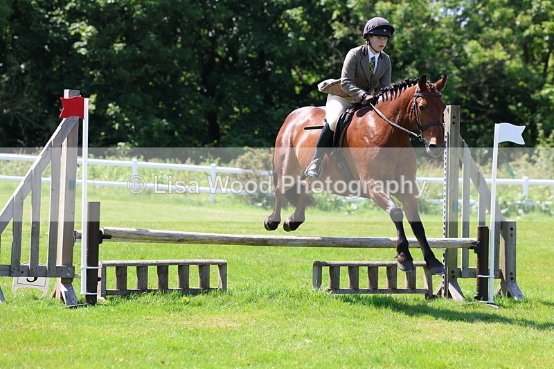 3E7A6957 - Class 30: Novice Working Hunter