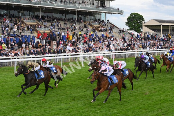 yr22052022r5-29 - Race 5: 5:35pm Sky Bet Sunday Series Sprint
