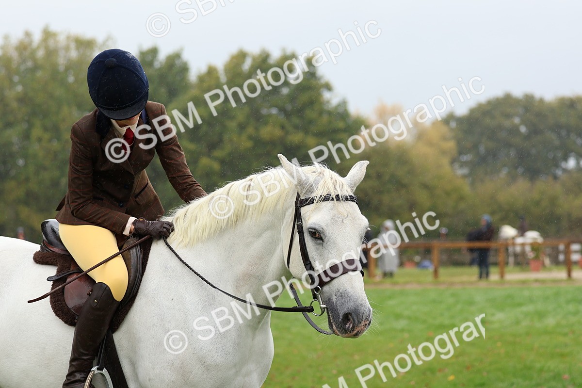 SBM_69736 - S62 - Mountain & Moorland Ridden Large Breeds