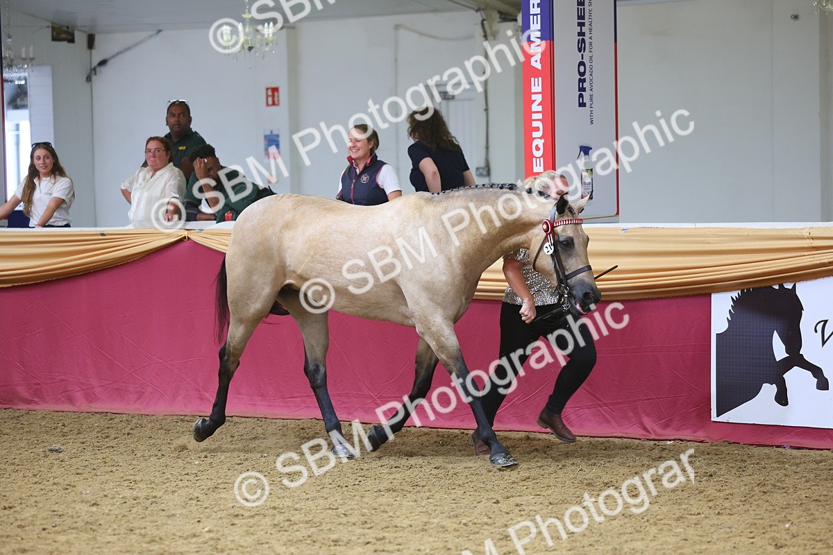 SBM_24980 - Grand Supreme Final Overall Champion